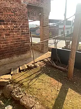 dudubaobao's cam snapshot