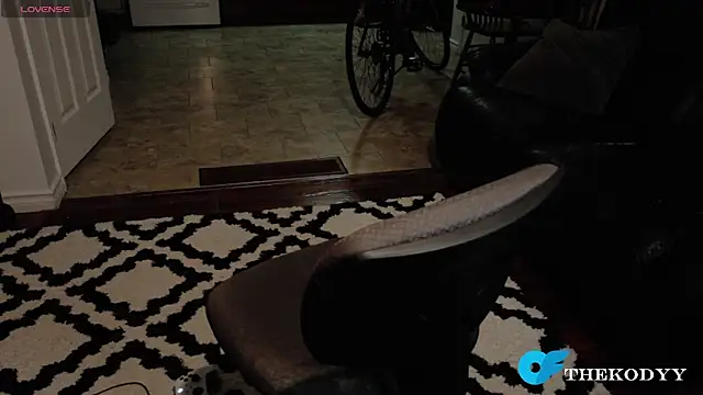 Thekodyy live sex cam