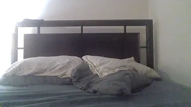 THE_FLOCK's cam snapshot