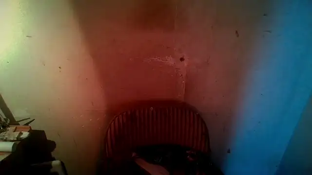 AlanDicksons live sex cam