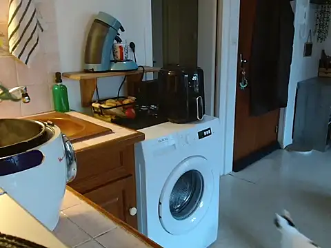 Lauzo's cam snapshot