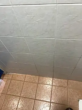 nice686@xh live sex cam