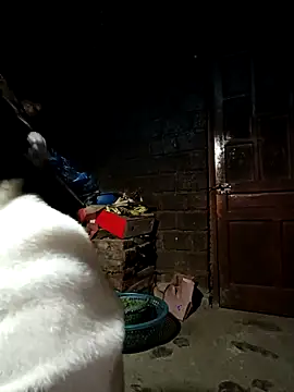 yu--yo's cam snapshot