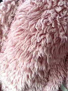 SweetCupcaks live sex cam