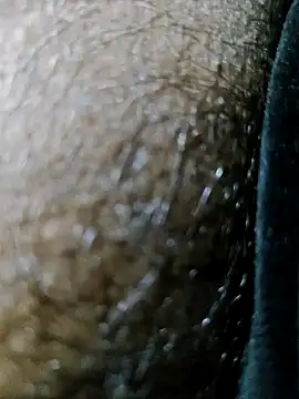 Kalpanaxa's cam snapshot