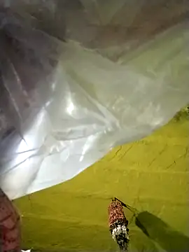 Punam_ji's cam snapshot