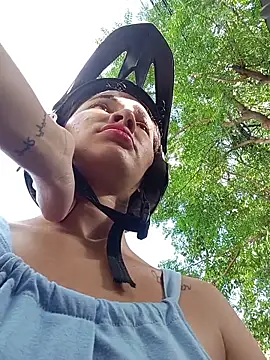 -Nicol's cam snapshot