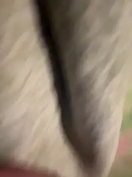 Rabizoon live sex cam