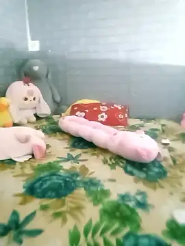 miolia's cam snapshot