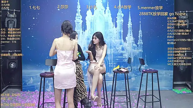 SK010's cam snapshot