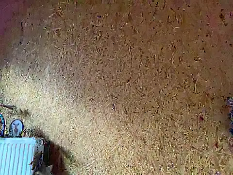 GioApri live sex cam