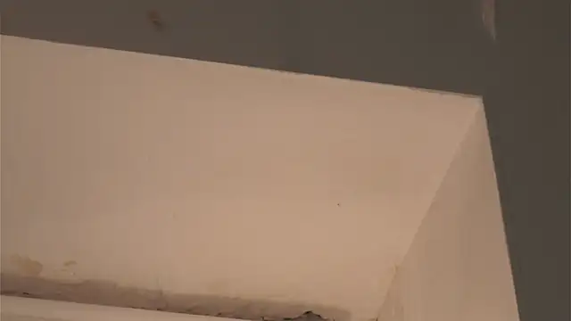 RenaeConnerley live sex cam