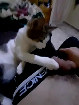 adem63636 live sex cam