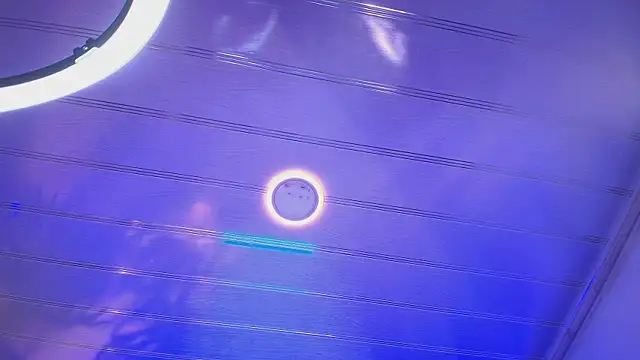 sakuramoss's cam snapshot