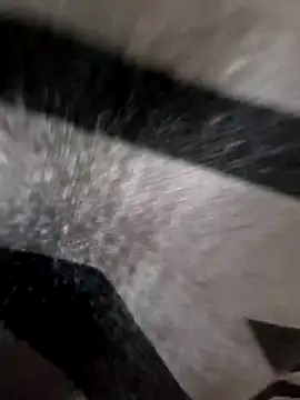 Soufiane16000 live sex cam