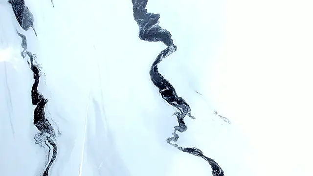 mia_alvares live sex cam