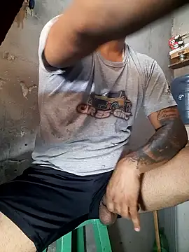 hecwil8 live sex cam