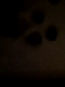 Leocesar37's cam snapshot