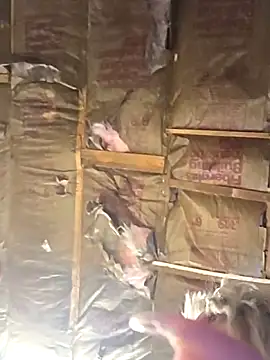 beautifulme23's cam snapshot