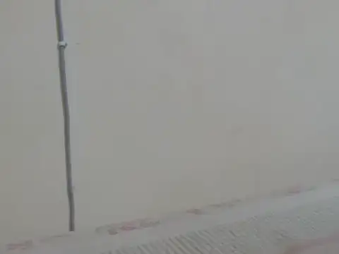 Softrose5's cam snapshot