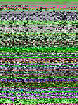 mo-mo-69 live sex cam