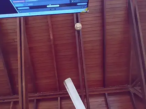 CattaleyaEvans_ live sex cam