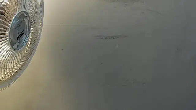 dylaans19 live sex cam