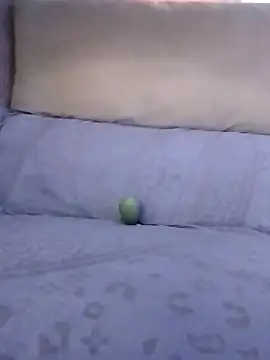 LoGanDiamond live sex cam