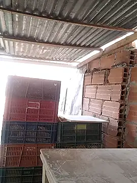 hoteder live sex cam