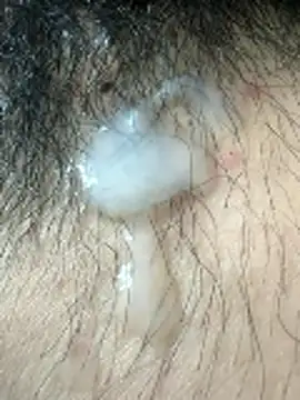 alextang2005 live sex cam