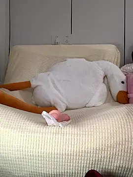 hoho-is's cam snapshot