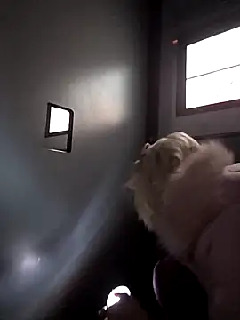 beautifulme23 live sex cam