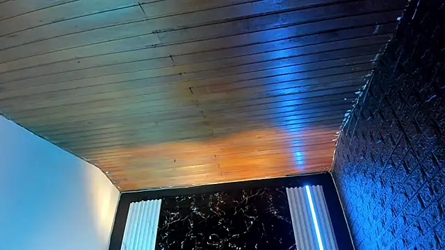 Serena_Fey's cam snapshot