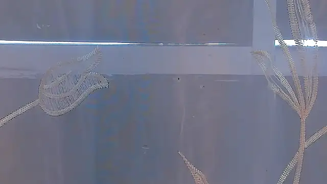 AliceStevens_'s cam snapshot