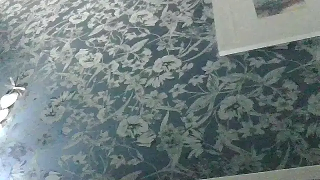 Ebony-SultryX's cam snapshot