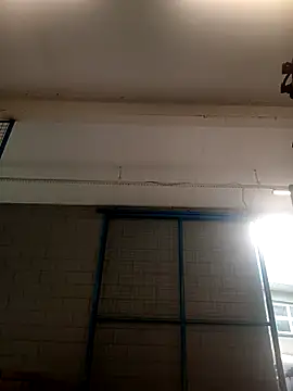 yshikawa's cam snapshot