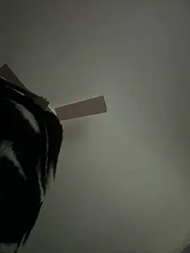 Edens_Promise's cam snapshot