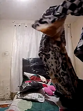 Bigote_Big0357's cam snapshot