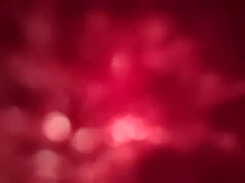 nobored's cam snapshot