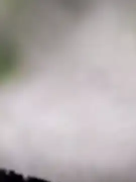 Pitercom live sex cam