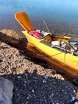 FloppyPickle4u live sex cam