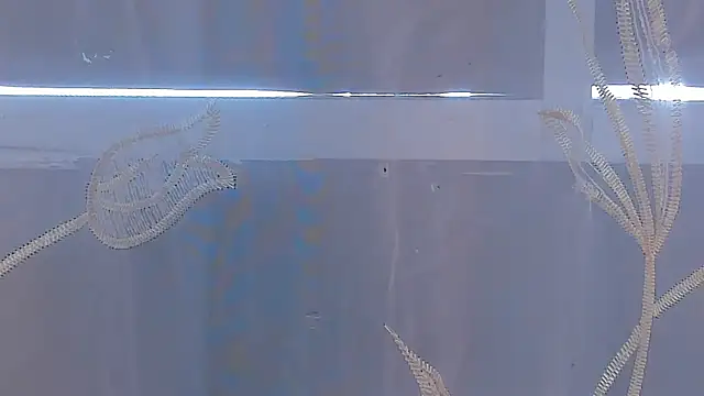 AliceStevens_'s cam snapshot