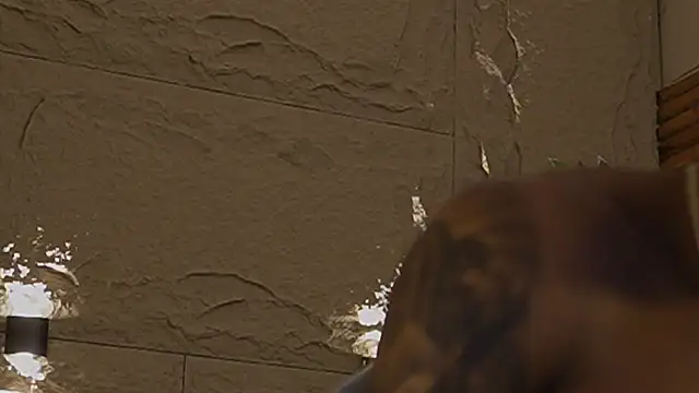 Logan_Varela live sex cam