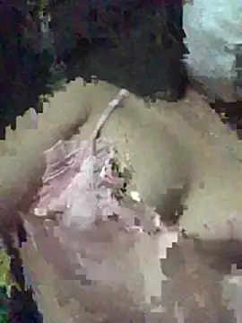 Mihu246's cam snapshot