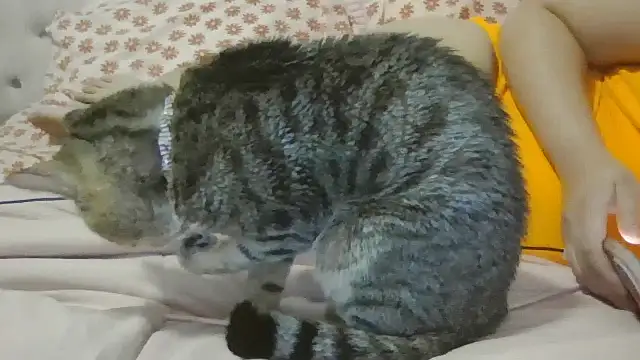 beautylovess live sex cam