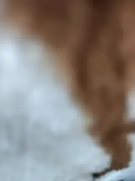 jiniya6789 live sex cam