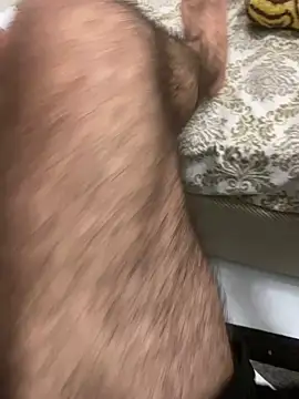 Robin45tr live sex cam