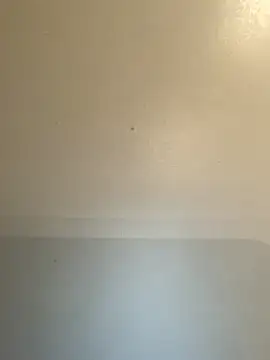 TheCinderella live sex cam