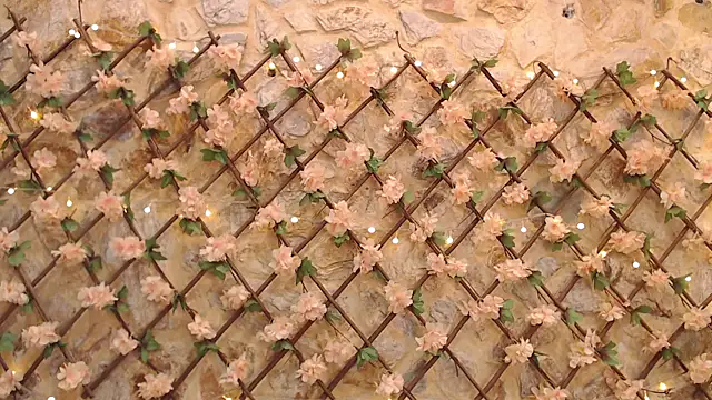 VenusBlazer live sex cam