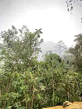 Mayly_lucky2's cam snapshot